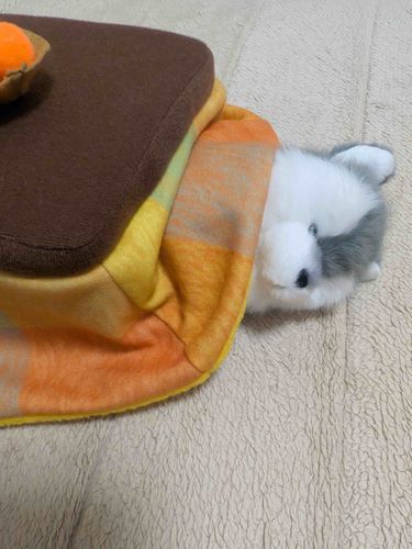 おれは  もう ここからでない