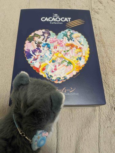 おれ知ってる！「月にかわっておしおきよ」ってやつだろ🌙