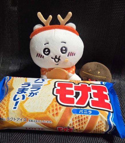モナ王
意外と売ってない！