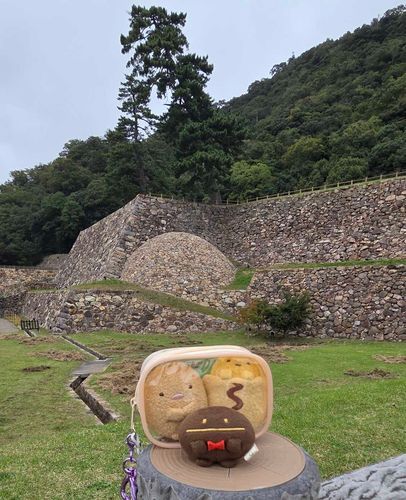 鳥取城🏯