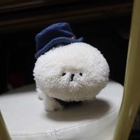 ポニ