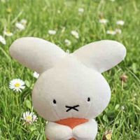 ぷゆちゃん