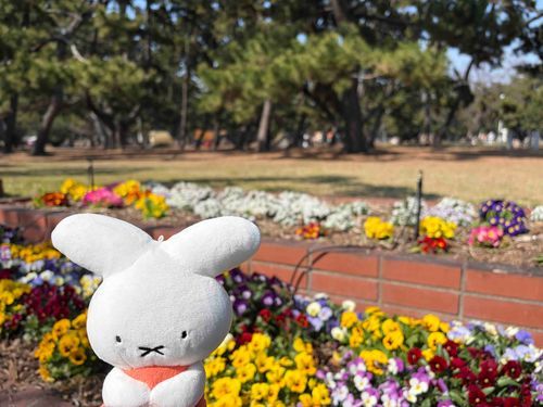 おはな！🌸