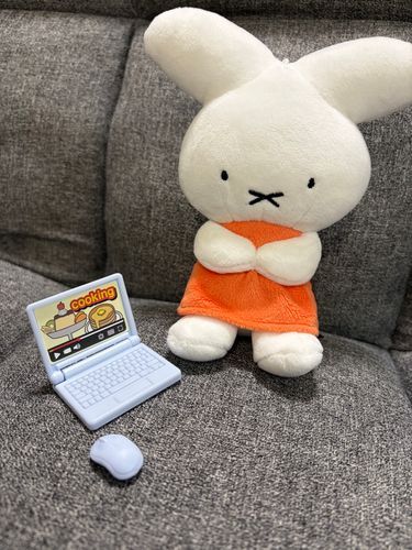 パソコンをもらったぷゆ💻