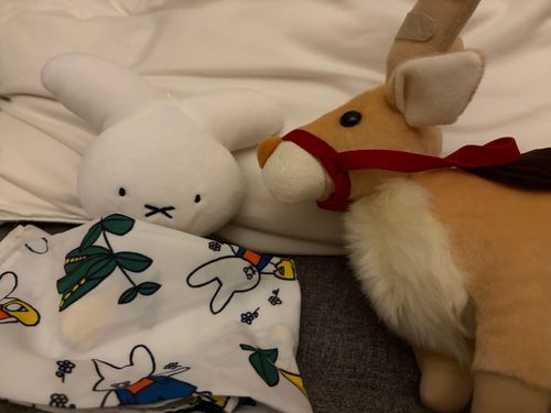おやすみ😴