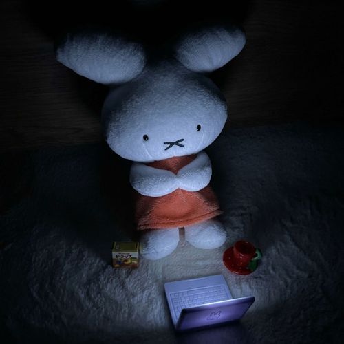 夜のネットサーフィンぷゆね