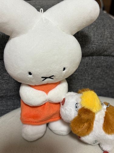なついてるぷゆね…