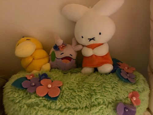 みんなで眠りましょ🛏️
