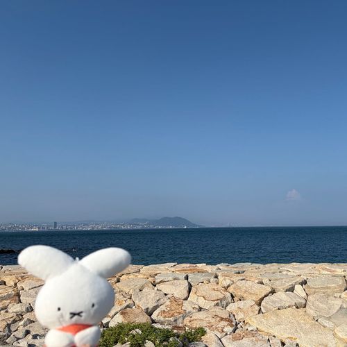 海は広いぷね