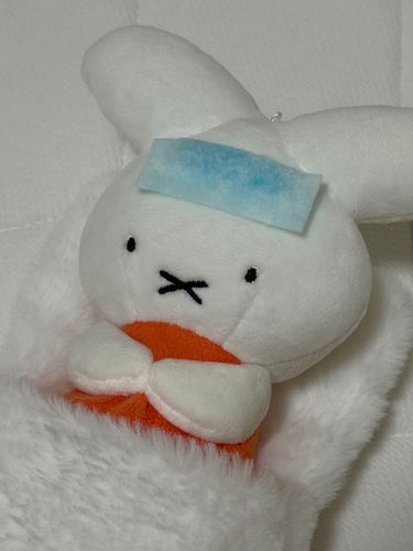ぷしゅぷしゅ！
お熱ぷね…
