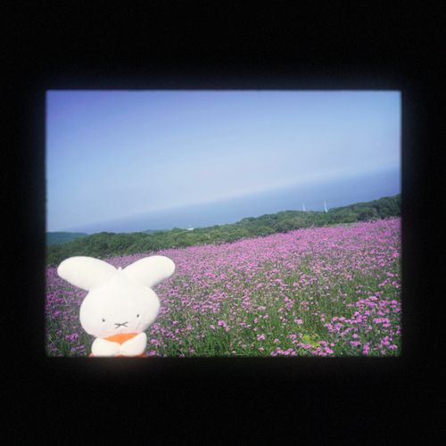 お気に入りの写真