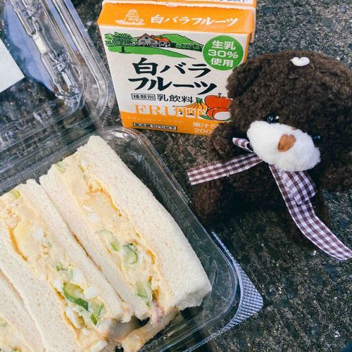 はじめましてだよー くま・ボロネーゼ公だよー