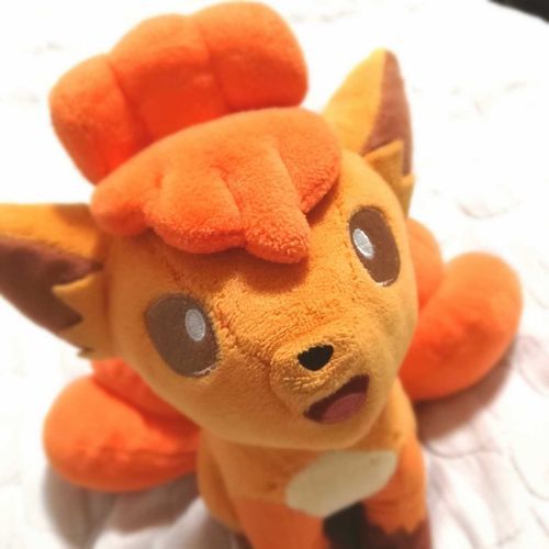 はじめまして、ロコンのコンだよ！
よろしくね！こんこーん！