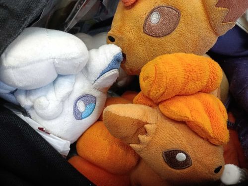 帰れなくなっちゃった…