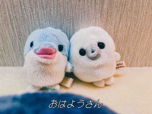 ポスト