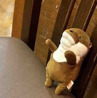 ｺﾂﾒｶﾜｳｿ