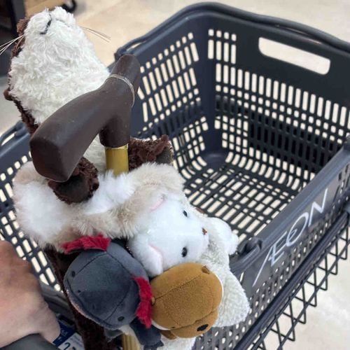 みんなで仲良くお買い物してきた！
1番上の子新入りなんです！