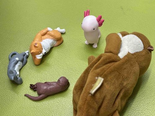 ん？なにやら様子がおかしいぞ…!!