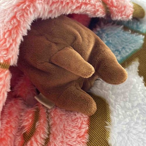 頭隠して尻隠さず…