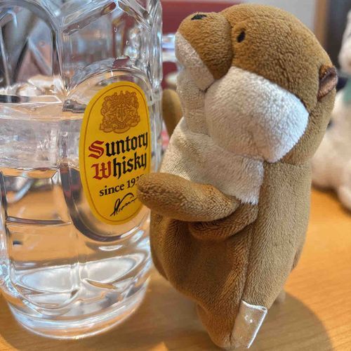 いいなあ〜僕も飲みたい！