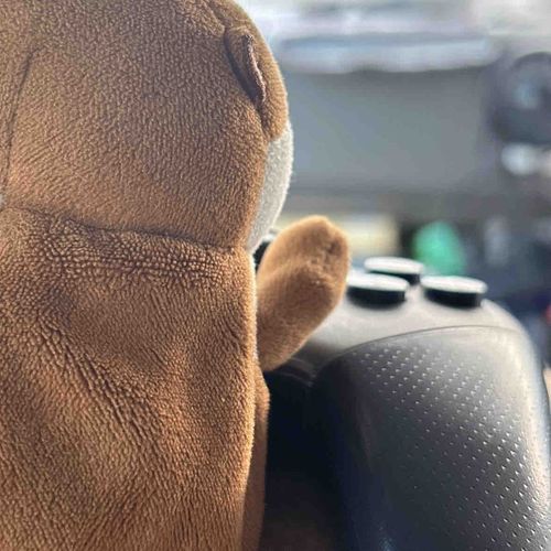 ぼくも運転してる風🚕🚗🚙🚚³₃
