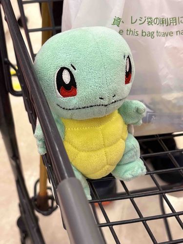 こないだ一緒に買い物行ったの！
これは必死にカートに
しがみついてるゼニだよ🥹՞