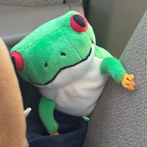 新入りケロ🐸
よろしくケロケロ🐸