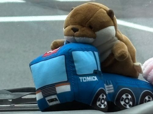 ぶぅーん🚗💨