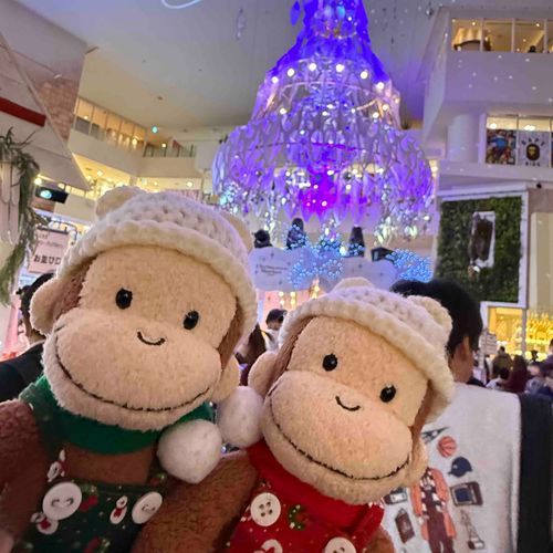 𝙼𝚎𝚛𝚛𝚢 𝙲𝚑𝚛𝚒𝚜𝚝𝚖𝚊𝚜!🎄
みんなにとって素敵なクリスマスに
なりますように🌟