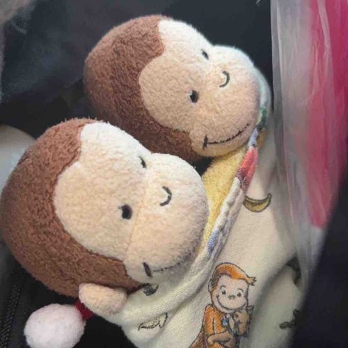 今日は帰省日✈️
🚃→🚌→✈️→🚃→🚄
の長旅頑張る🐵🐵