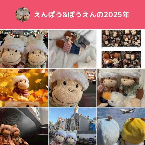 𝟚𝟘𝟚𝟝💟𝟚𝟘𝟚𝟞
ことしからふわもこSNSをはじめて、たくさんステキなであいがあったよ🐵🐵
であってくれたみんな、ありがとう🫶
2026ねんもよろしくね！
みんなにとって、えがおいっぱい、わくわくいっぱい、きらきらな1ねんになりますように🍀✨