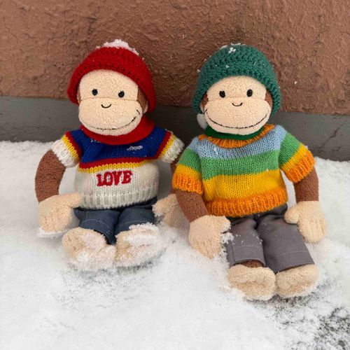 ゆき☃️がふってたからベランダであそんだんだけど、寒くて2ふんで帰ってきたんだよ🐵🐵💦