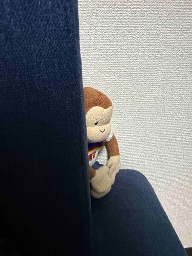 えんぽうは主に買ってもらったバッグをなくしたよ🙈💧