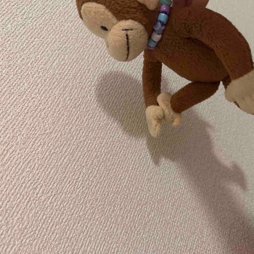 ぽうえんだよー。さいきんのしゅみは、影遊び🐵
