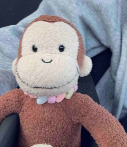 やっほー、えんぽうだよー🐵
みんなひさしぶり！げんき？
さっそく自撮りしてみた！
最近は主の風邪が長引いて細菌感染しちゃったみたいでいっしょにおとなしくしてた😞
寒暖差、花粉、バタバタする時期だしみんなご自愛してね🫶