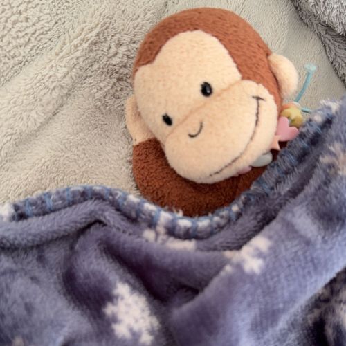 ごろごろえんぽう🐵
最近はちょっとおやすみモードで、おでかけはお休み中。
また元気に出かけられる日がきたらいいなぁ🌸さくらも綺麗に咲いてるかな？

しばらくはおうちでのんびり過ごす様子をお届けするね🏠
みんなの投稿も楽しみにしてるよ🐵✨