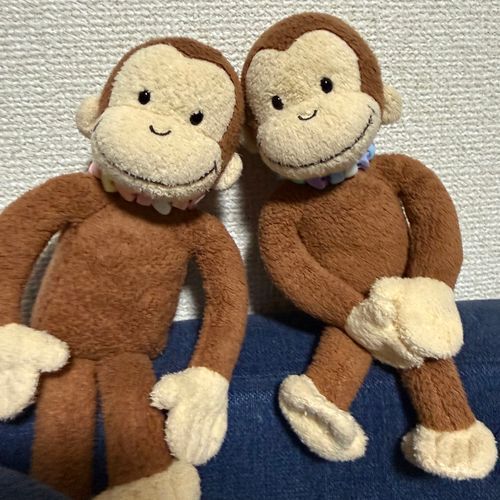 リフレッシュするため
帰省の予定を早めて
弾丸で主の故郷へ✈️🐵🐵
たくさんゆっくりできますように🌸