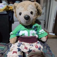 ダッフィー🐻️