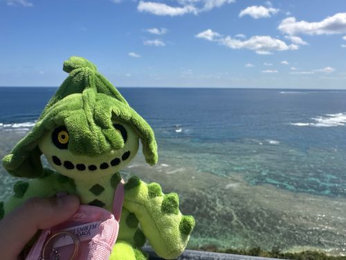 冬に撮った写真だけど、オキナワ地方に行ってきました。涼しげ。