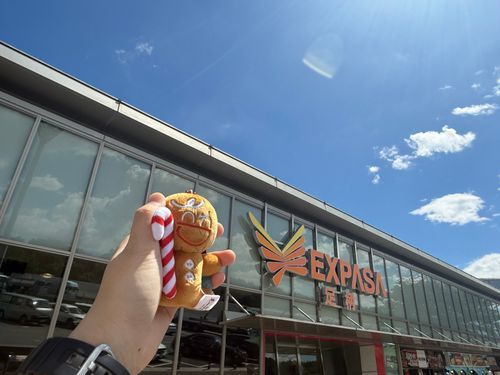 勇敢なクッキー君も楽しそう