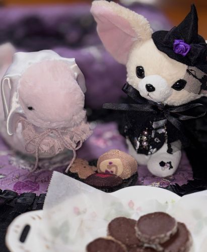 とりっく　おあ　とりーと　
おばけへびちゃんとおしゃれまじょおねえさん
ハロウィンのおめかしコーデ🌙
