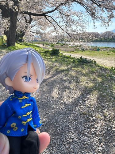 先週は一目千本桜というのを見に遠征して来た。実際には千本以上あるらしい。
電車で5分の一駅をゆったりと踏破する、6キロにも及ぶ長い遠征だった。