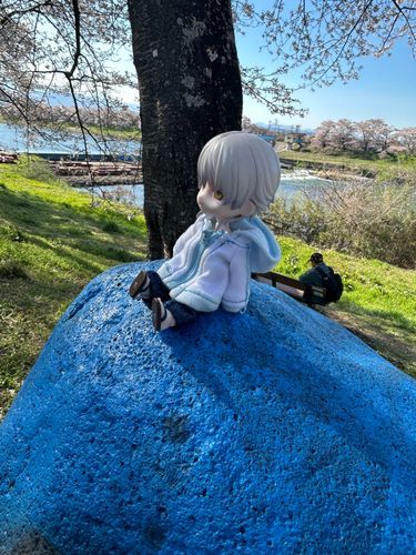 川は桜に似合うな
