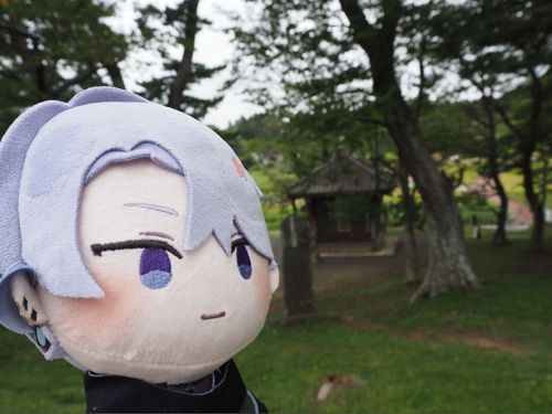 あの方はここから見える景色が憧れの平安の頃から変わらないことに感動を覚えたそうです。
私もあの方と同じ景色を見られて感動しています…！