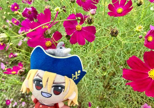 楽しい思い出ができたぞ！