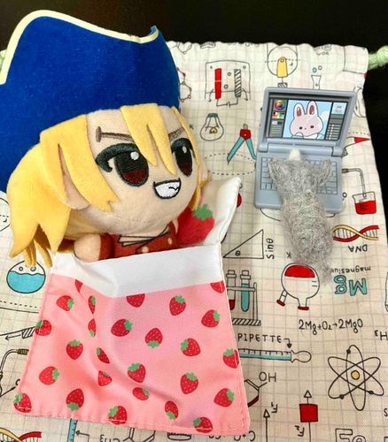 楽しみでねむれないのか？
