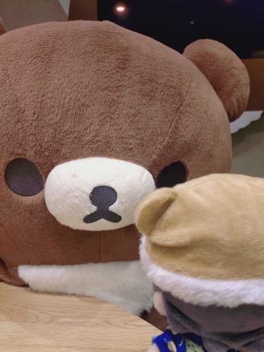 かわいいくまさんと遭遇した時の。