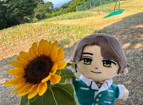 ひまわりとおれ、にあうでしょ🌻
