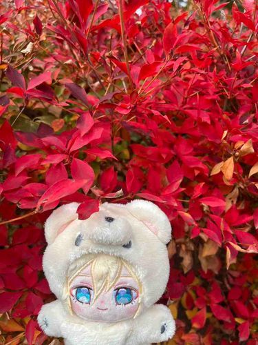 秋を感じてきたよ♪
