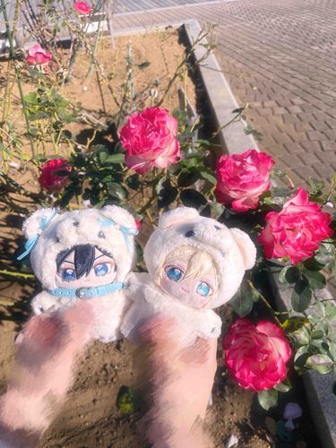 北斗と素敵な花をみにきたよ♪